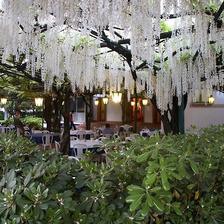 Albergo Ristorante Papa Peschiera del Garda Eksteriør bilde